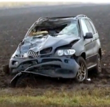 Под Нижнекамском водитель на BMW X5 разорвал лошадь пополам