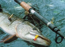 Рыбалка в Набережных Челнах: по первому снегу