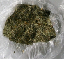 В лесу около Набережных Челнов обнаружены 7 тайников с наркотиками