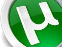 Сколько стоит легализация торрент-трекеров в Рунете?