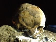 В Набережных Челнах нашли человеческий череп