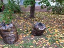 В Москве опавшие листья - «золото», в Набережных Челнах - мусор!