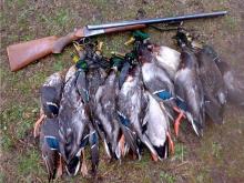 Охотников, не сообщивших о добыче, ждет административное наказание