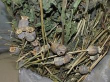 Двум жительницам Набережных Челнов грозит до 20 лет неволи за продажу маковой соломки