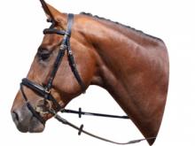 Конно-спортивной школе одна уздечка для лошади обойдется  в  1 тысячу 750 рублей