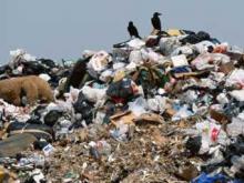 Мегасвалку протаскивают «через заднее крыльцо»?