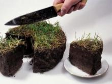 Бизнесмен из Набережных Челнов продает земли сельхозназначения под строительство жилья