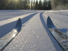 «Родители приучили нас встречать старый Новый год в лесу - на лыжах и с шашлыками!»