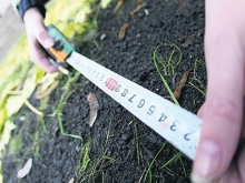 Прокуратура требует от фирмы 'Камторг' освободить землю в 39-м комплексе