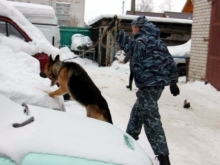 В Набережных Челнах служебная собака отыскала грабителя