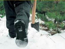 За одну срезанную лапу хвойного дерева грозит штраф в 4 тысячи рублей