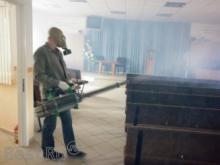 Управление МВД Набережных Челнов объявило войну тараканам и мышам