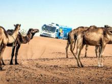 Гонщики «КАМАЗ-мастер» преследуют на тренировках верблюдов
