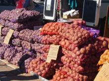 Жители Набережных Челнов закупили сельхозпродукции на 700 млн рублей