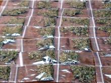 Два жителя Менделеевска организовали наркосеть в Набережных Челнах