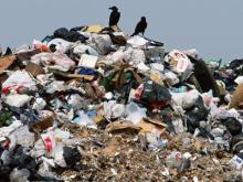 Корейцы хотят получать на Тогаевской свалке газ и компост для сельского хозяйства