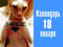 2 года назад в городе Набережные Челны набили тату коту