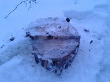 Челнинка нажаловалась в 'Народный контроль' на беспорядок в парке