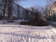 Коммунальщики вырубают в поселке ЗЯБ старые и гнилые деревья