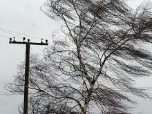 Из-за сильного ветра 69 населенных пунктов Татарстана остались без электричества