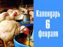 12 лет назад в Набережных Челнах было образовано ООО 'Челны-Бройлер'