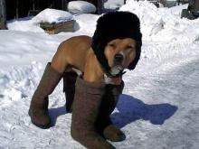 Перед потеплением в Татарстане ударят морозы до -25 градусов