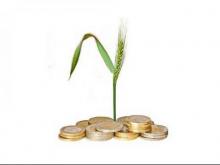 Фермеры сейчас строят планы «вслепую»