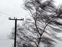 Завтра ночью и днем в Татарстане ожидается ураганный ветер