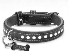 Куда пропадают собаки?