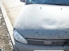 Во дворе дома в Набережных Челнах мужчина на 'Калине' задним ходом наехал на пенсионерку