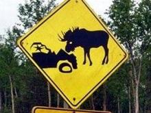 Над чем смеются работники страховых компаний