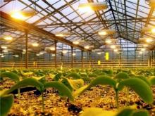 Рост тарифов на газ, электроэнергию повышает цены на потребительские товары на 1%