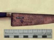 Незваных гостей в селе Старый Дрюш порезали ножом