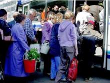 Перевозки садоводов отдали ПАК и 2 частным перевозчикам