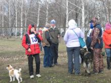 В Набережных Челнах состоялся турнир по спортивно-прикладному собаководству