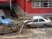В Набережных Челнах из-за сильного ветра деревья падали на автомобили