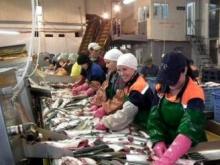 «Длинный рубль» для студента