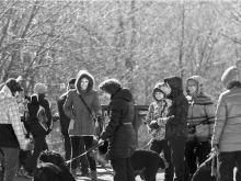 Собачья безнаказанность