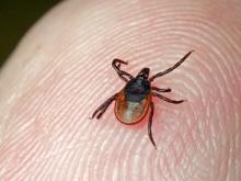 Рыбаки в Набережных Челнах снимают с себя первых клещей