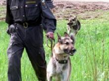 Челнинские спасатели ищут в лесу мужчину, пропавшего три дня назад