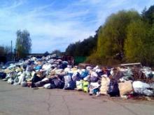 Огромную свалку в садовом обществе 'Дизелист' пока никто не убирает