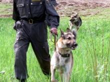 Челнинские спасатели обнаружили пропавшего рыбака, которого искали трое суток 