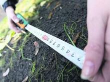 Садоводы делят участки. Как найти план общества?