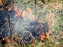 Челнинские пожарные потушили огонь в парке «Прибрежный»