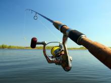 Лещ пошел на нерест