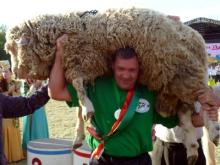 «Не в баранах счастье!»