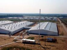 Кто портит воздух в поселке Сосновый бор?