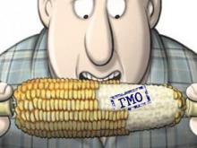 В диспуте о ГМО в Казани участвует 1000 человек