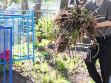 Кто убрал городские кладбища