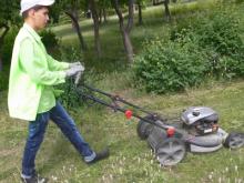 Газон на набережной реки Кама будут стричь по-новому